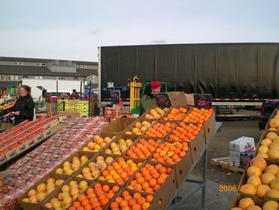 ������������һ�����